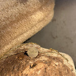 14 Ayar Altın İsimli Özel Tasarım Kolye - RNF0913 | Pırlanta Kolye | Ronaff Pırlanta | Tektaş Yüzük, Pırlanta Yüzük, Kolye, Küpe